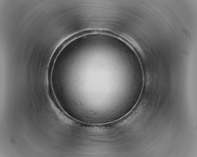 X0000112880980200909041638