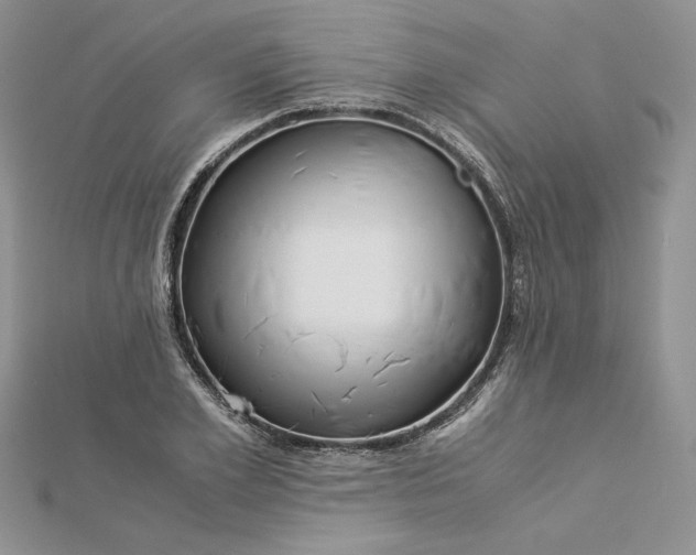 X0000112880981200909041638