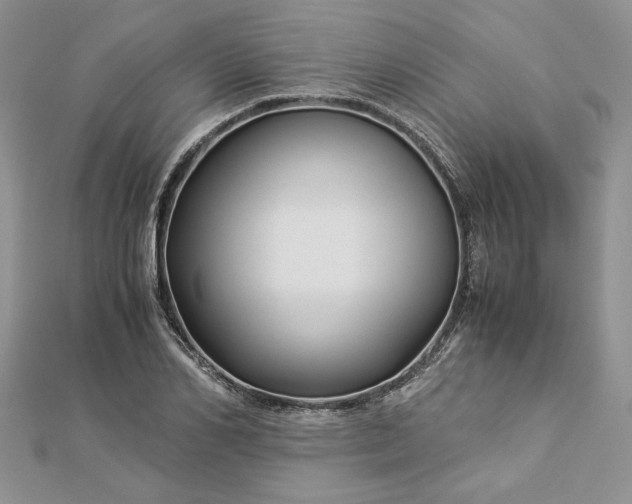 X0000112880982200909041638