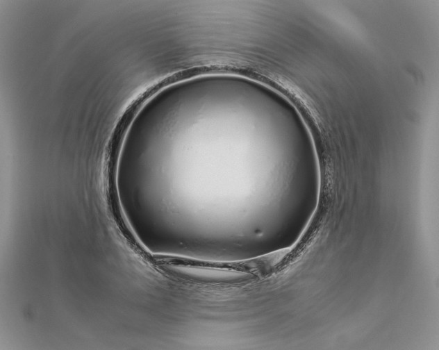 X0000112880983200909041638