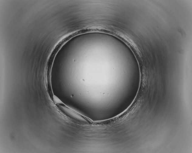 X0000112880984200909041638