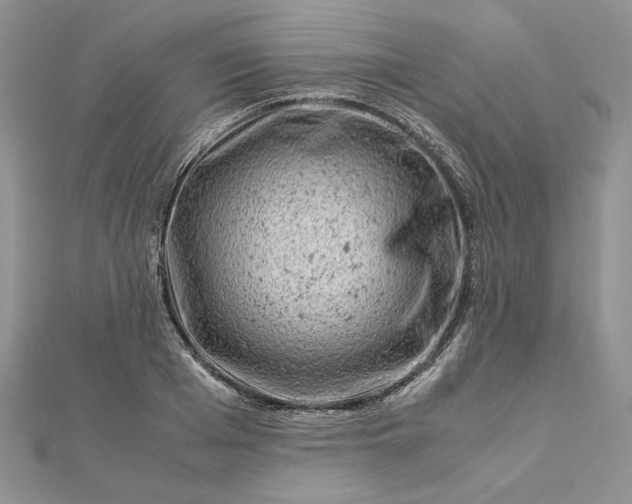 X0000112880985200909041638