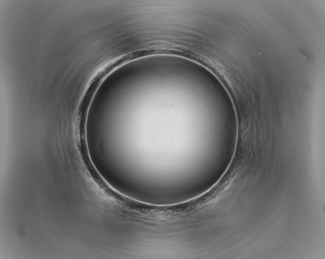 X0000112880987200909041638