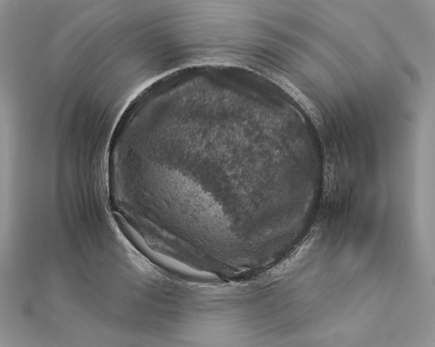 X0000112880988200909041638