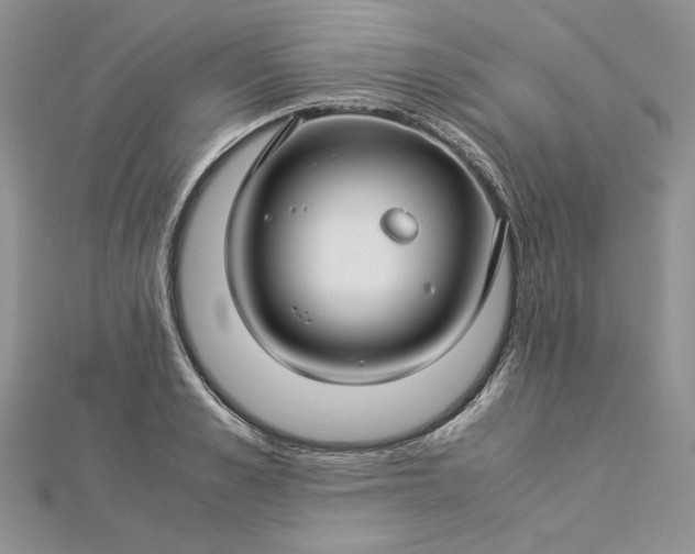 X0000112880989200909041637