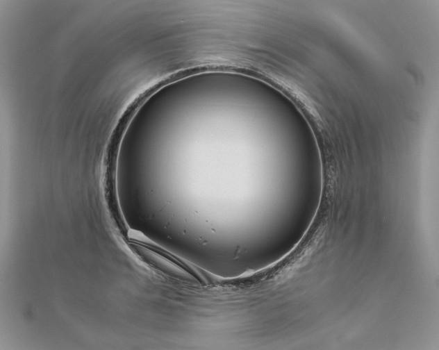 X0000112880991200909041637