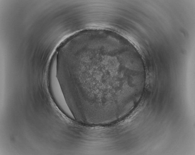 X0000112880992200909041637