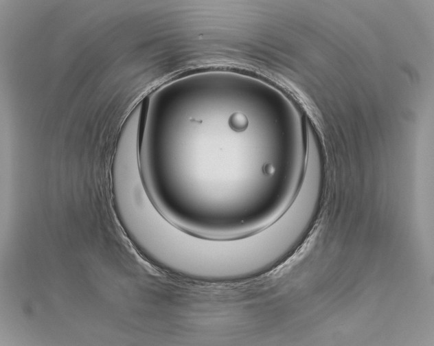 X0000112880993200909041637