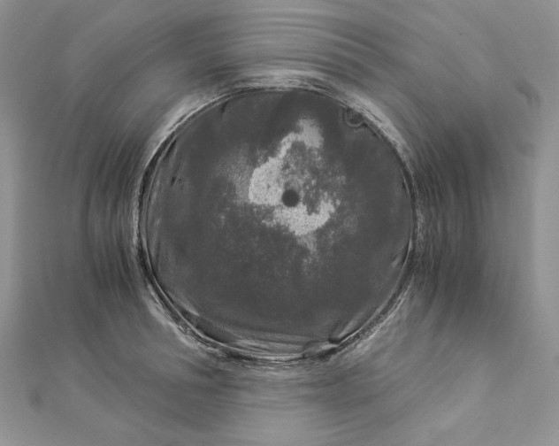 X0000112880994200909041637