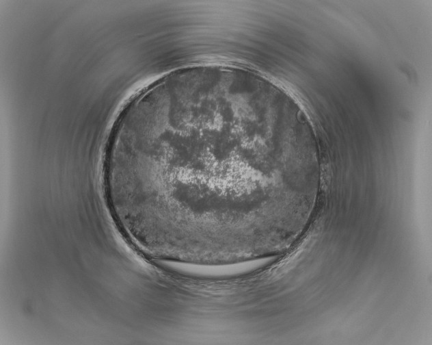 X0000112880995200909041637