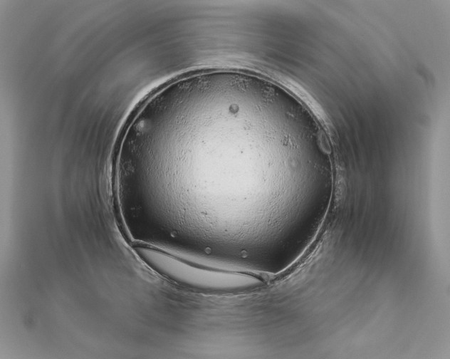 X0000112880996200909041637