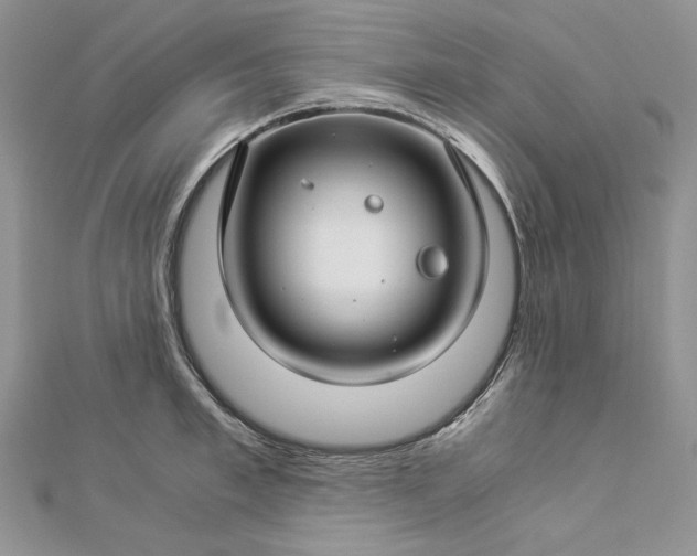 X0000112880997200909041637