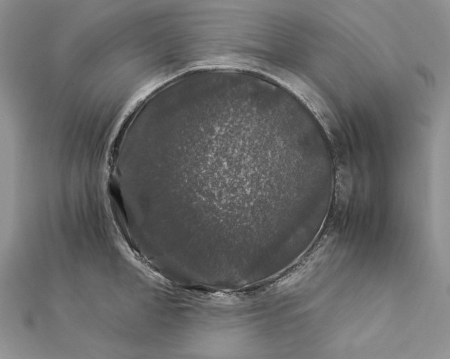 X0000112880998200909041637