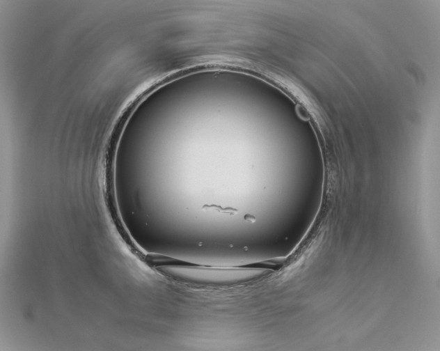 X0000112880999200909041637