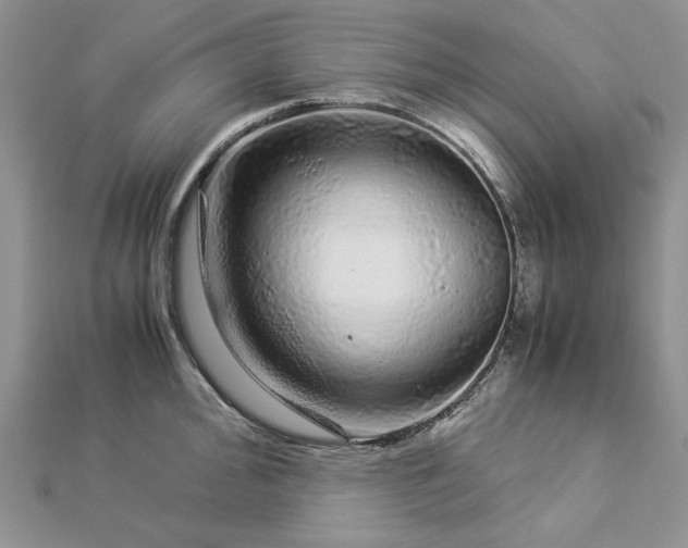 X0000112881000200909041637