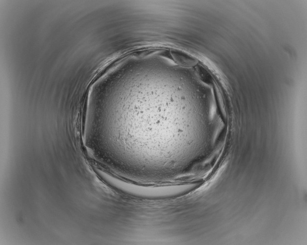 X0000112881001200909041637