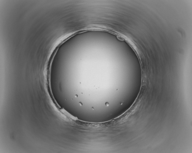 X0000112881003200909041637