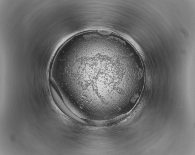 X0000112881004200909041637