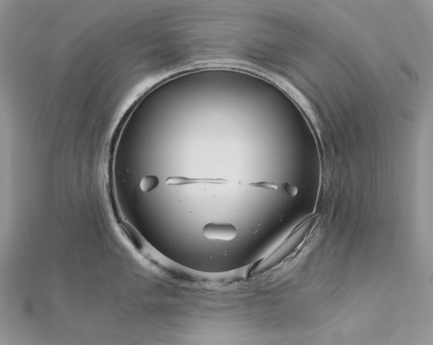 X0000112881005200909041637