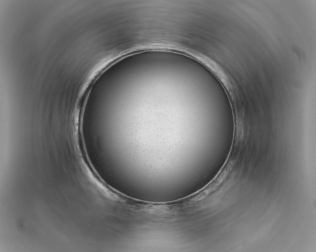 X0000112881006200909041637