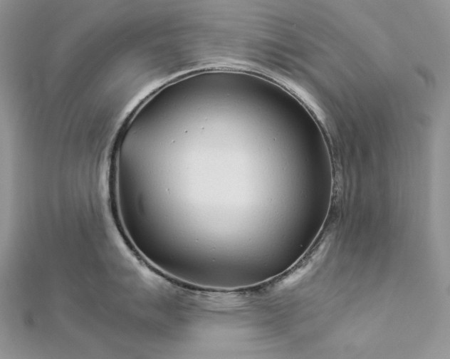 X0000112881007200909041637