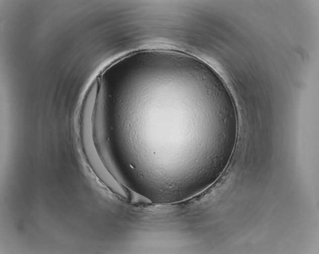 X0000112881008200909041637