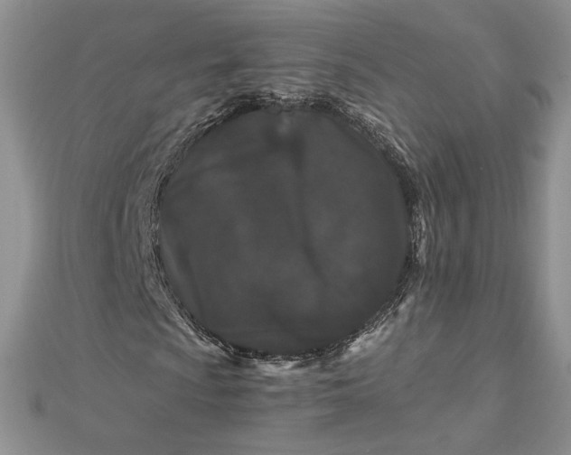 X0000112881009200909041637