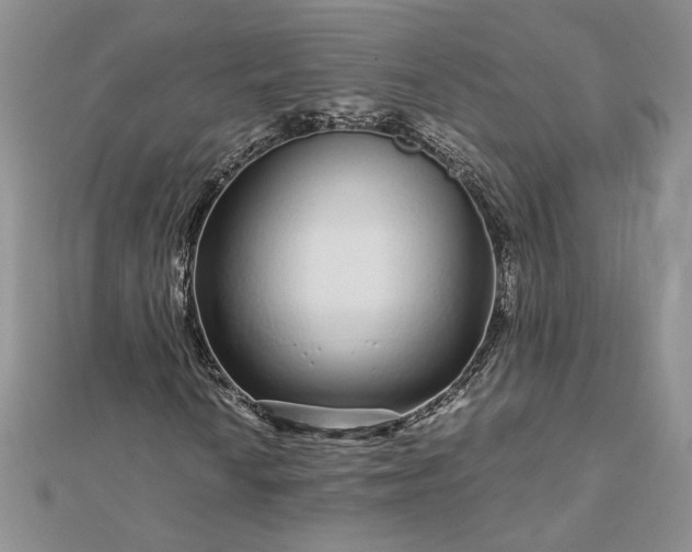 X0000112881010200909041637