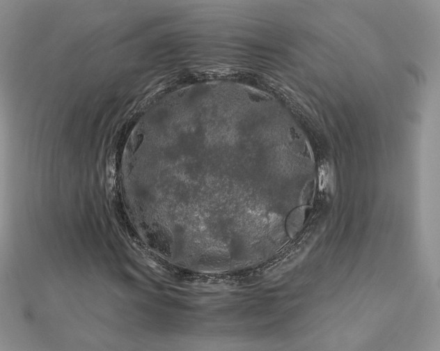 X0000112881011200909041637