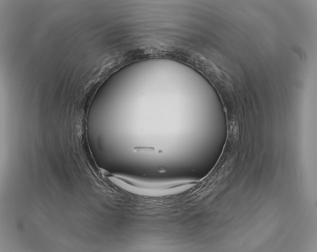 X0000112881012200909041637