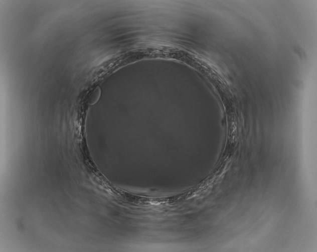 X0000112881013200909041637