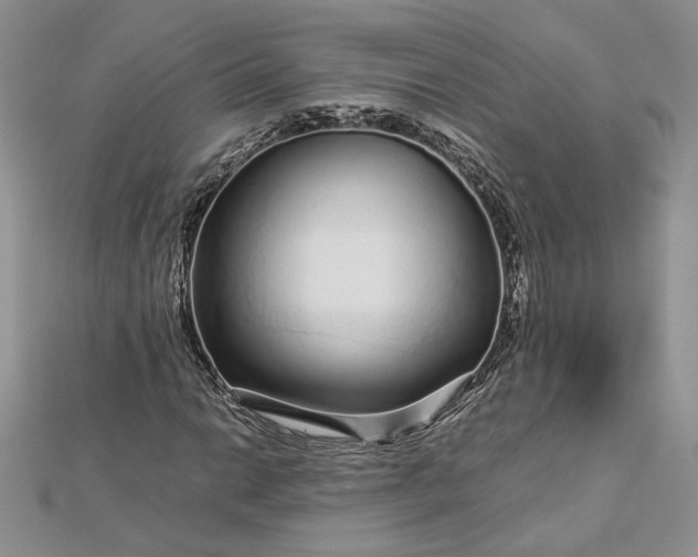 X0000112881014200909041637