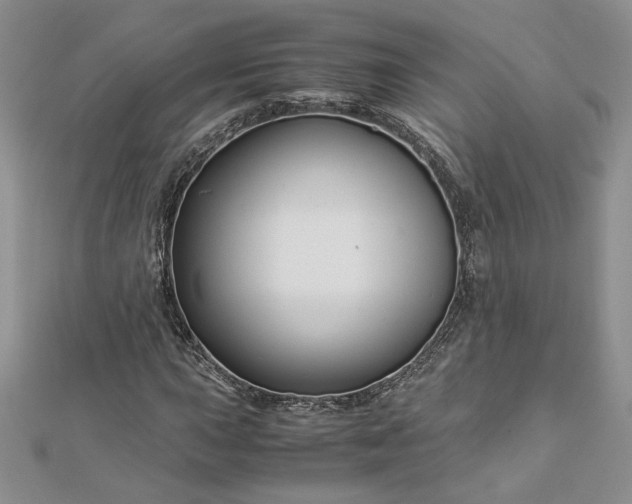 X0000112881015200909041637