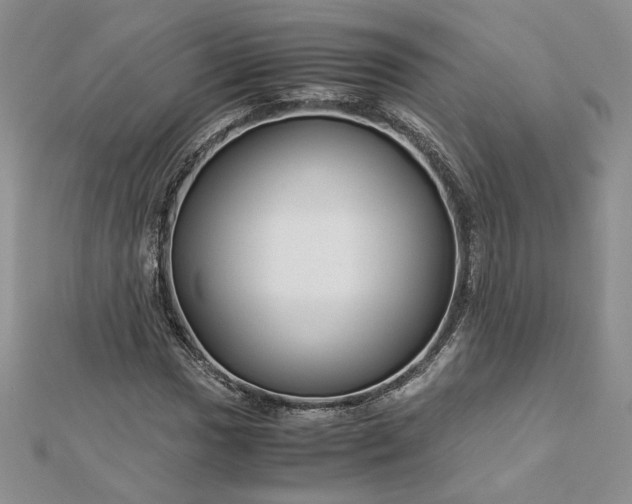 X0000112881017200909041637