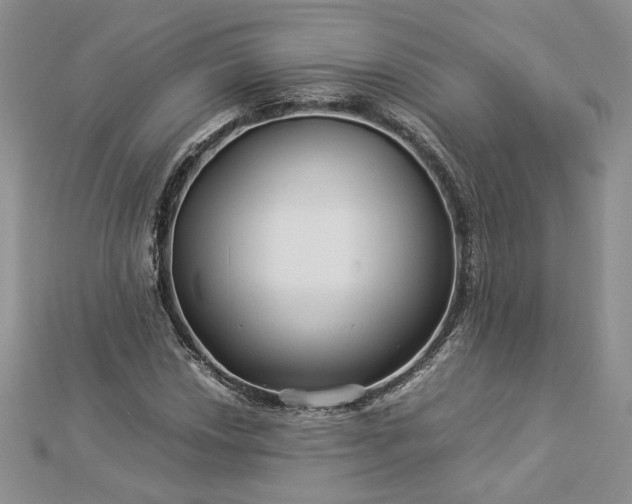 X0000112881018200909041637