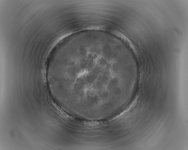 X0000112881019200909041637