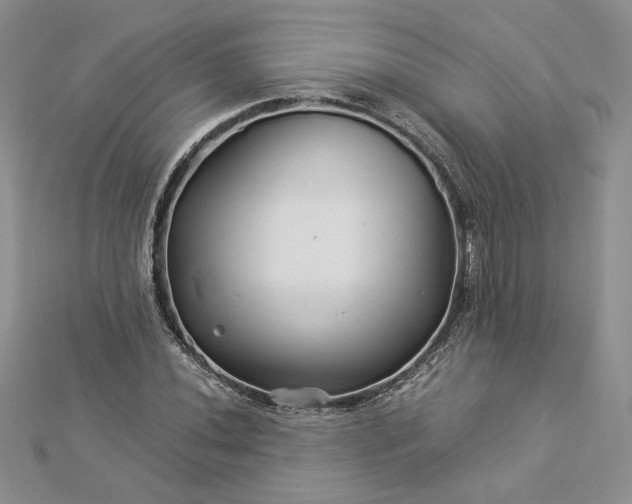 X0000112881020200909041637