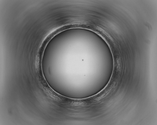 X0000112881021200909041637