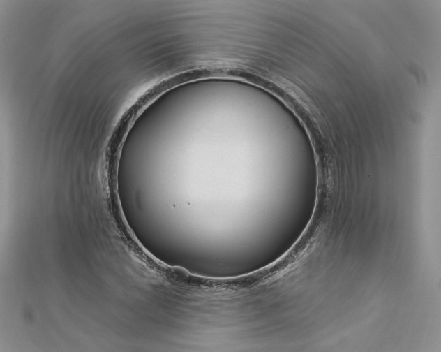 X0000112881022200909041637