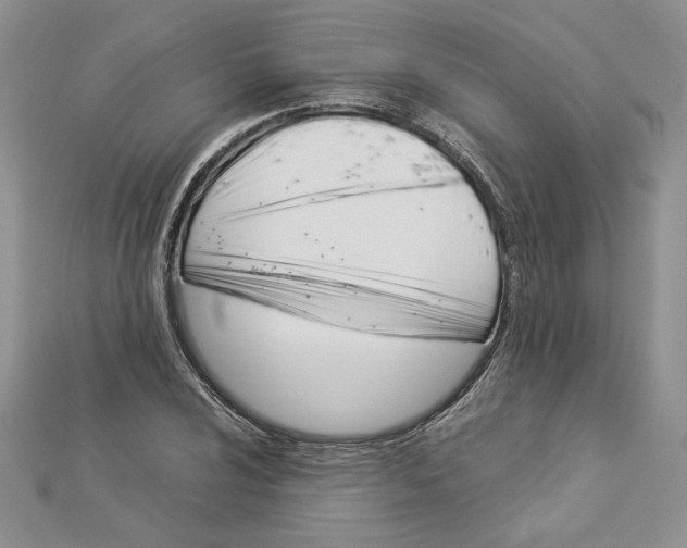 X0000112881024200909041637