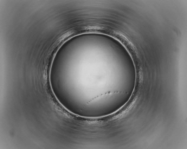 X0000112881025200909041637