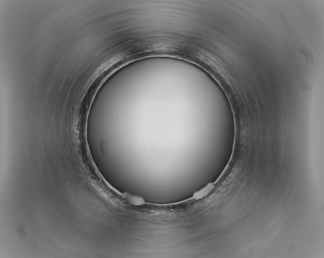 X0000112881026200909041637