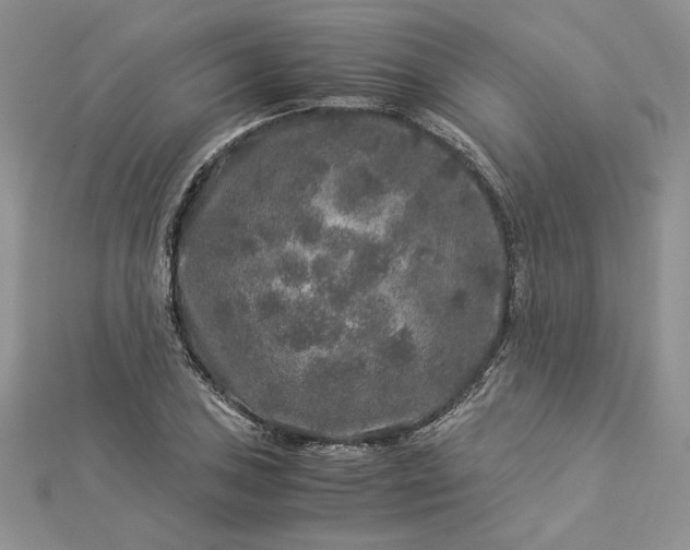 X0000112881027200909041637