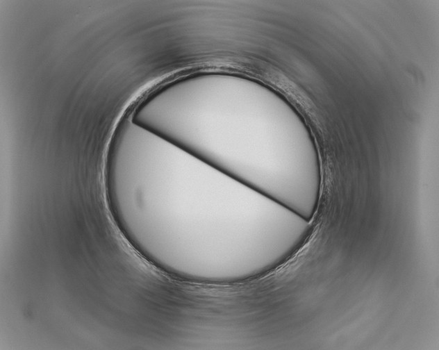 X0000112881028200909041637