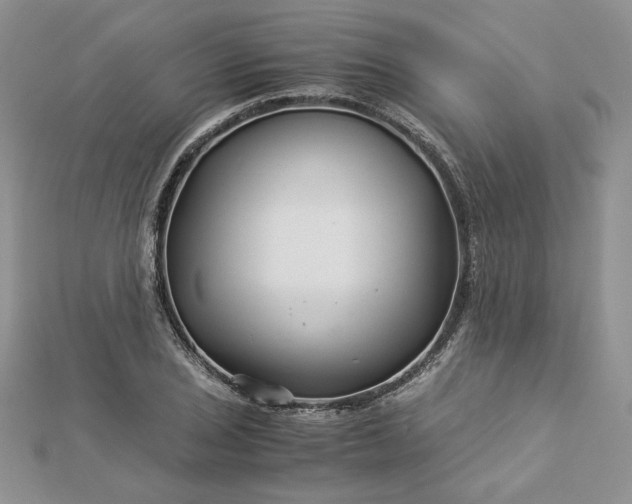 X0000112881029200909041637