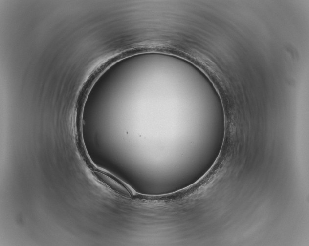 X0000112881030200909041637