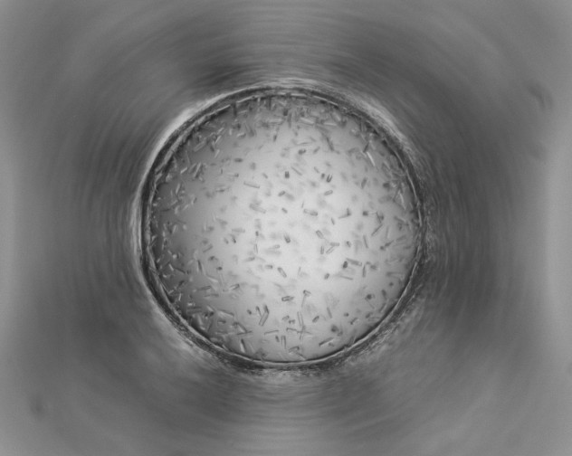 X0000112881032200909041637