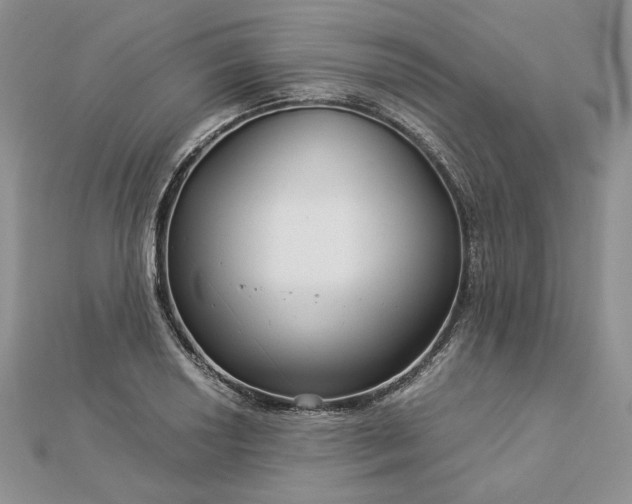 X0000112881034200909041637