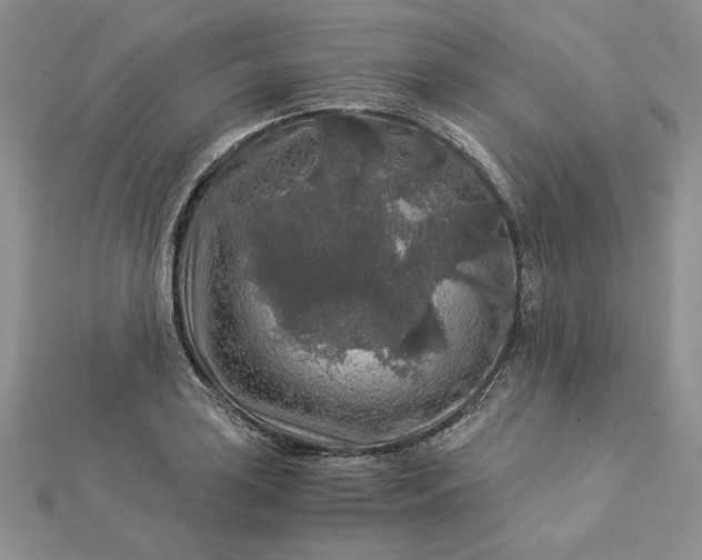 X0000112881035200909041637