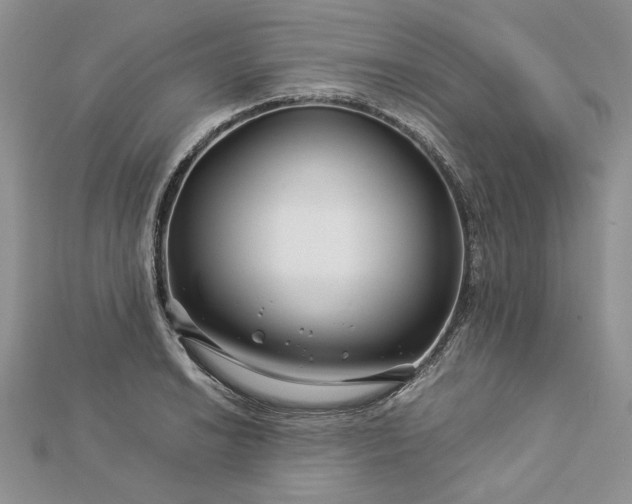 X0000112881038200909041637